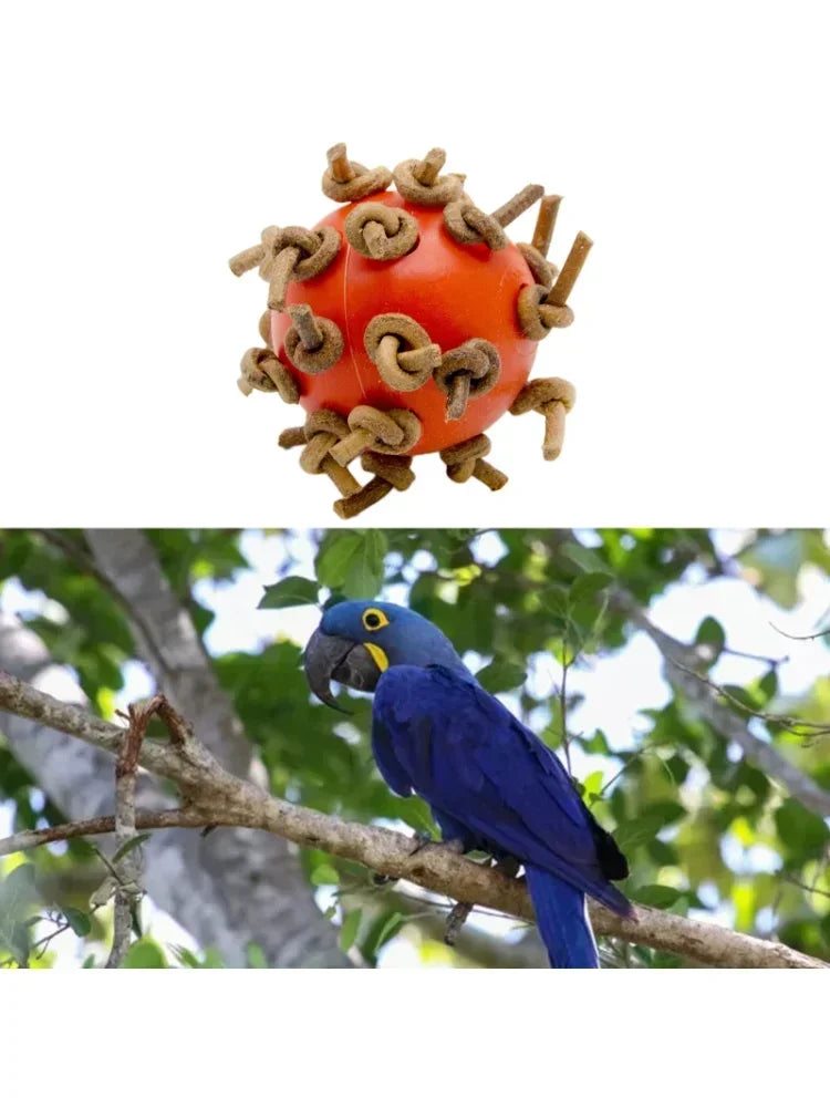 Bird Ball Chew Toy with Knots
