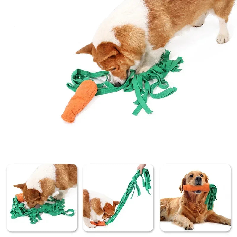 Carrot Shape Squeaky Interactive Snuffle Training Food Slow Feeder