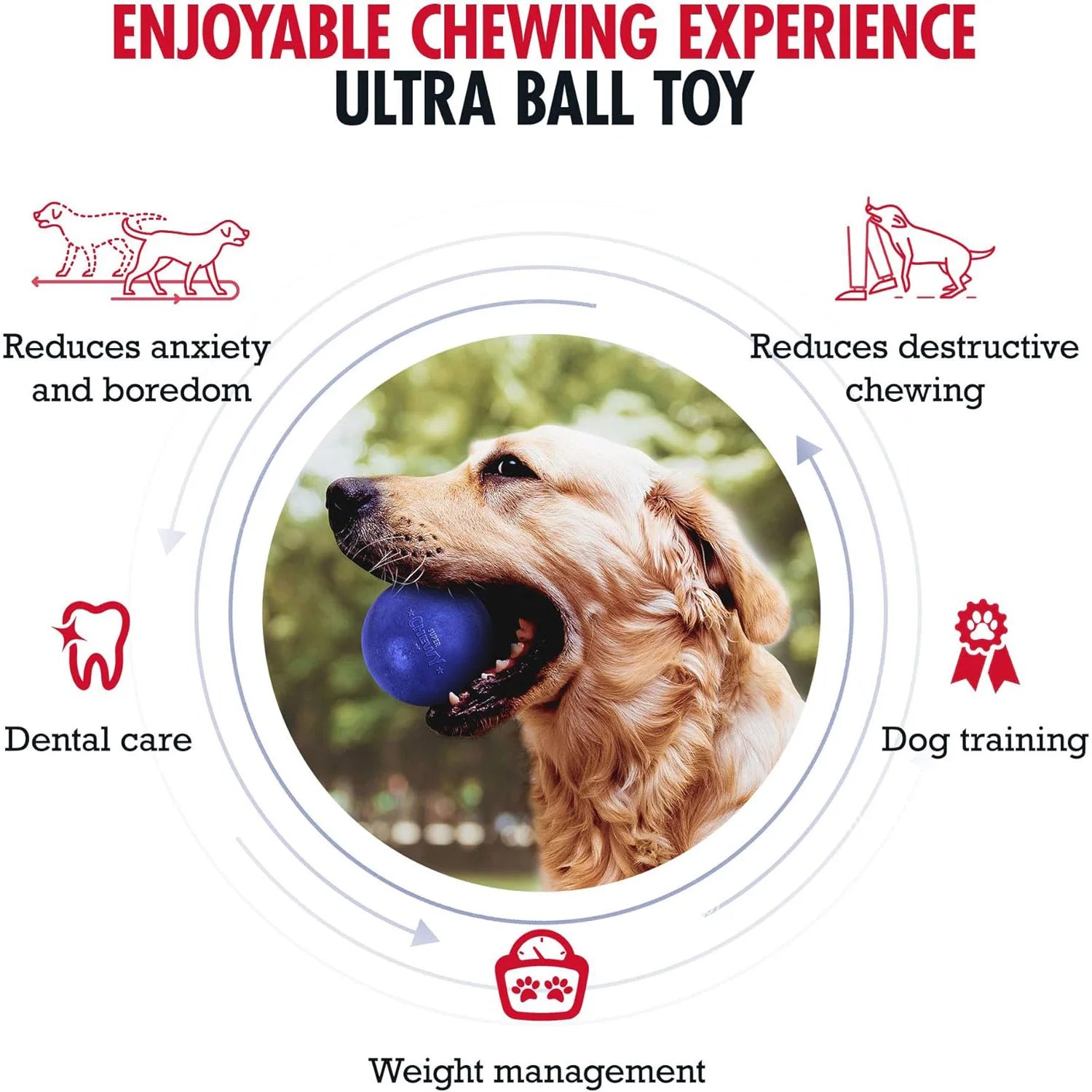 Chewy Tough Dog Ball