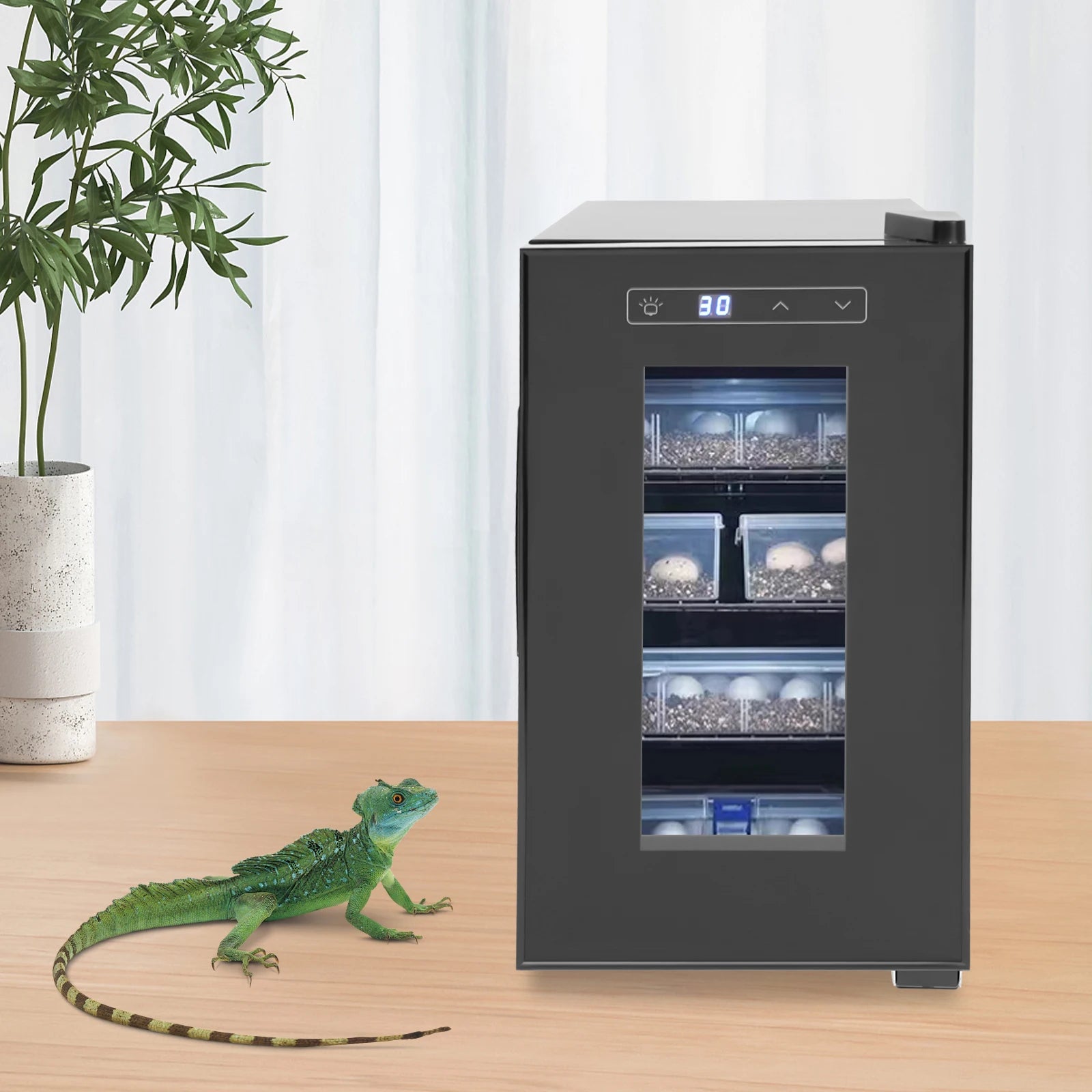 Professional Reptile Egg Incubator w/Precise 50-104°F Digital Thermostat, Auto Heating/Cooling for Snakes/Lizards/Turtles