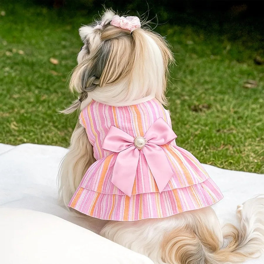 2 Pieces Dog Dress Princess Stripe Pet Dresses for Small Dogs Cute Bowknot Dog Summer Clothes for Dogs Cats Pets Puppy Chihuahu