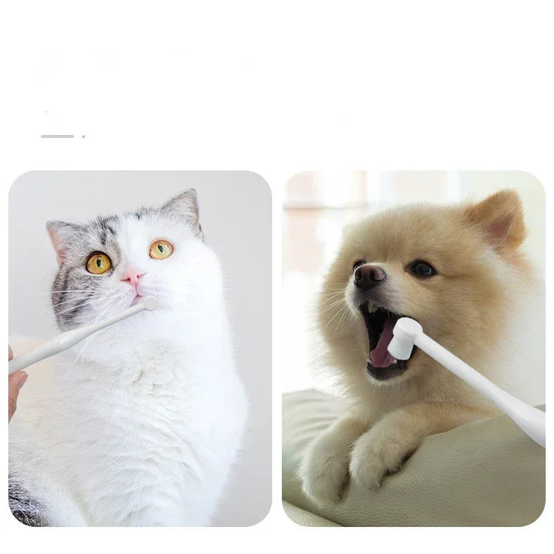 Heavy Duty Anti-crack Pet Teeth Cleaning Brush