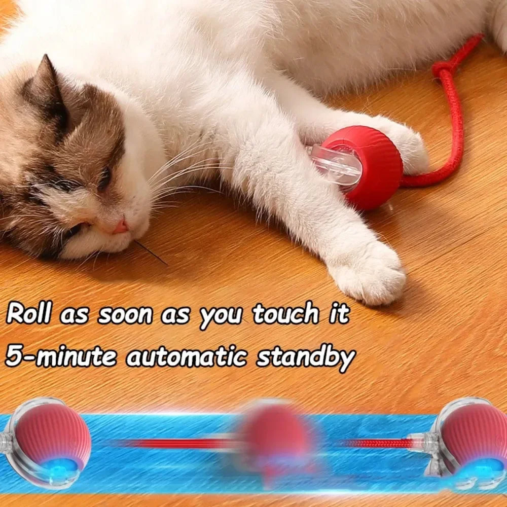 Cat Interactive Ball Toy Automatic Rolling Rechargeable