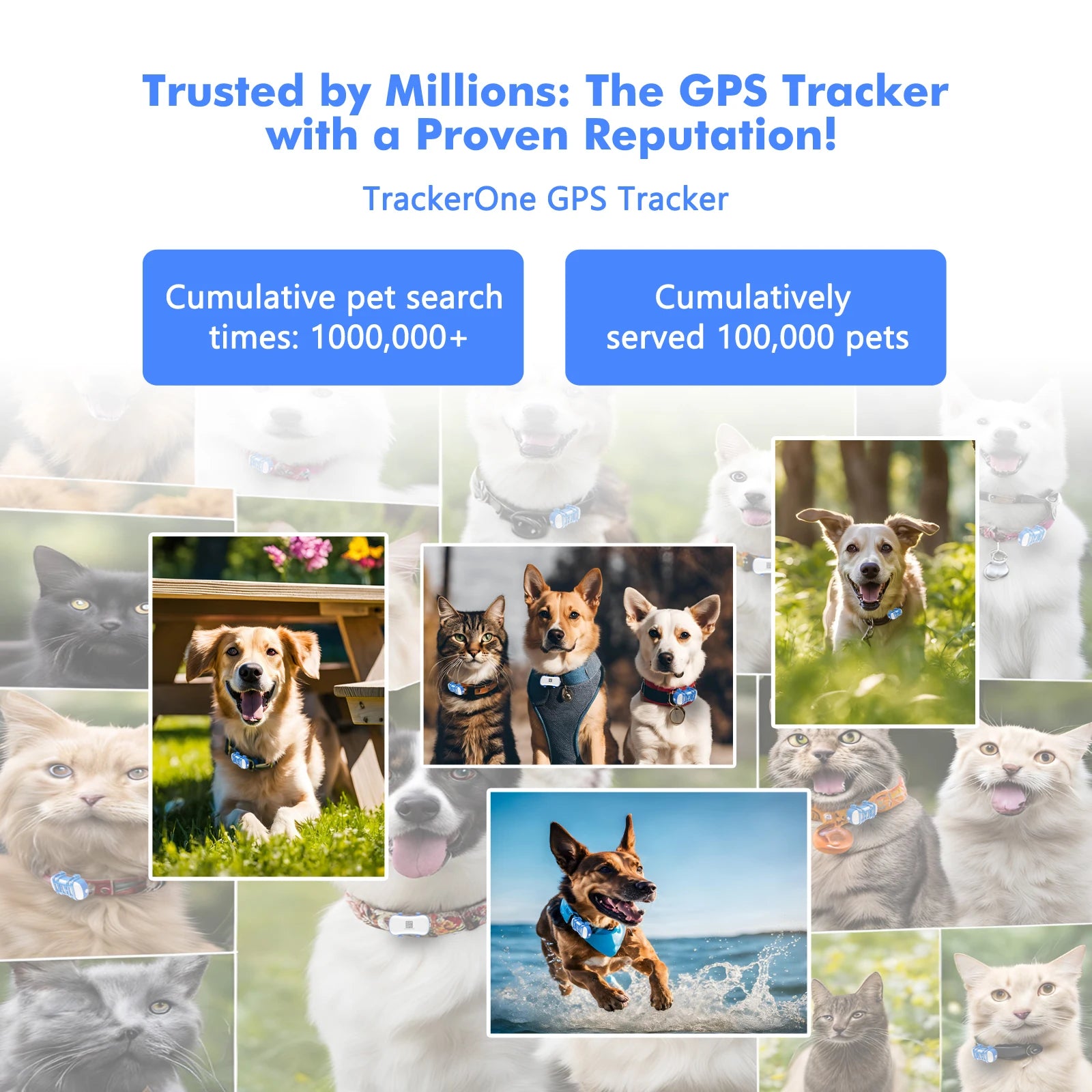  Dog Cat GPS Tracker