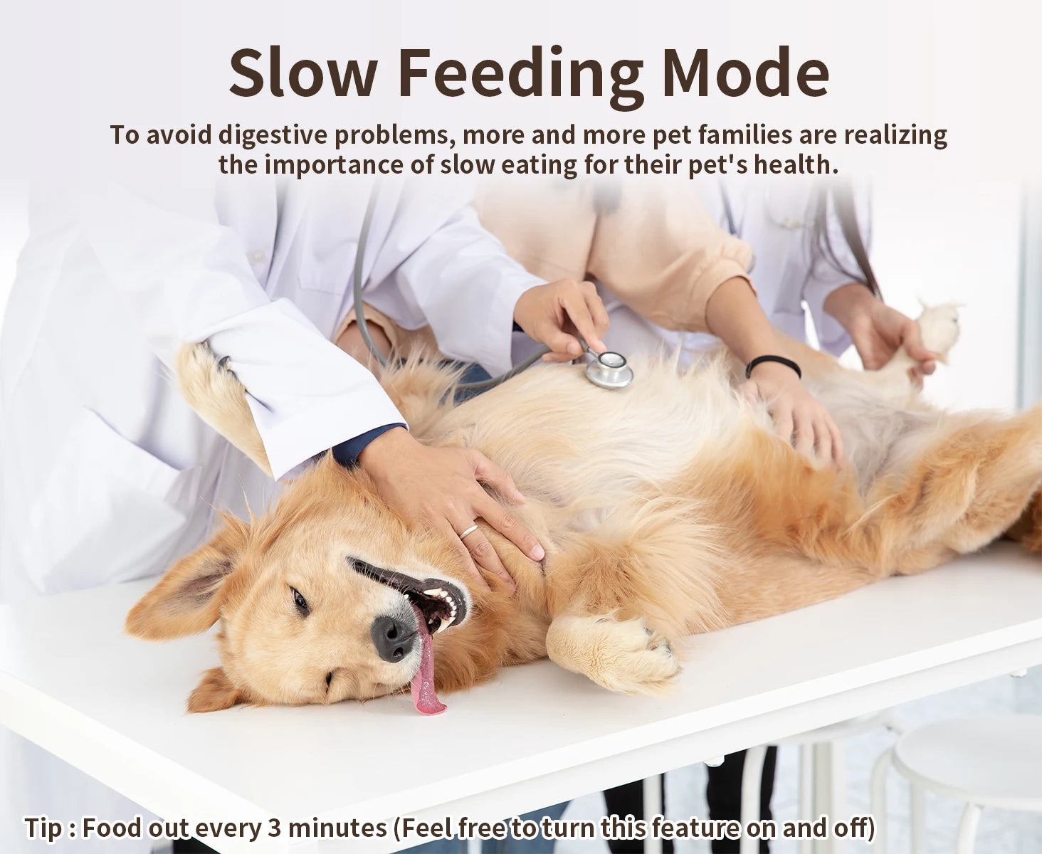 Smart Automatic Cat Feeders WiFi with APP Control for Remote Feeding Detachable for Easy Clean