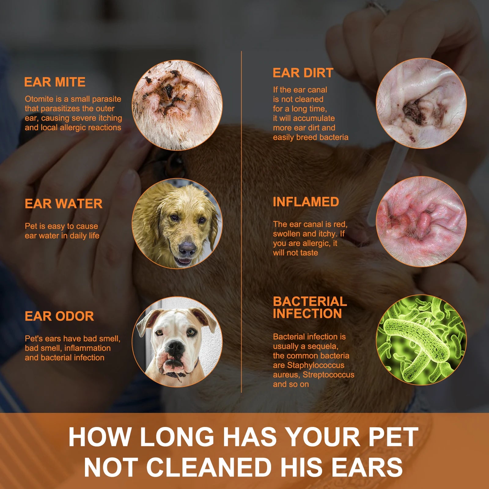 Pet Ear Cleaner with Cotton Swab