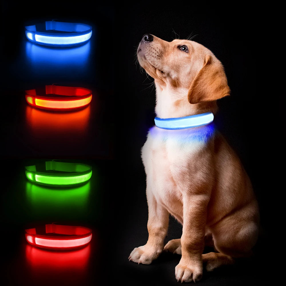 Dog Luminous Waterpoof Safety Collars