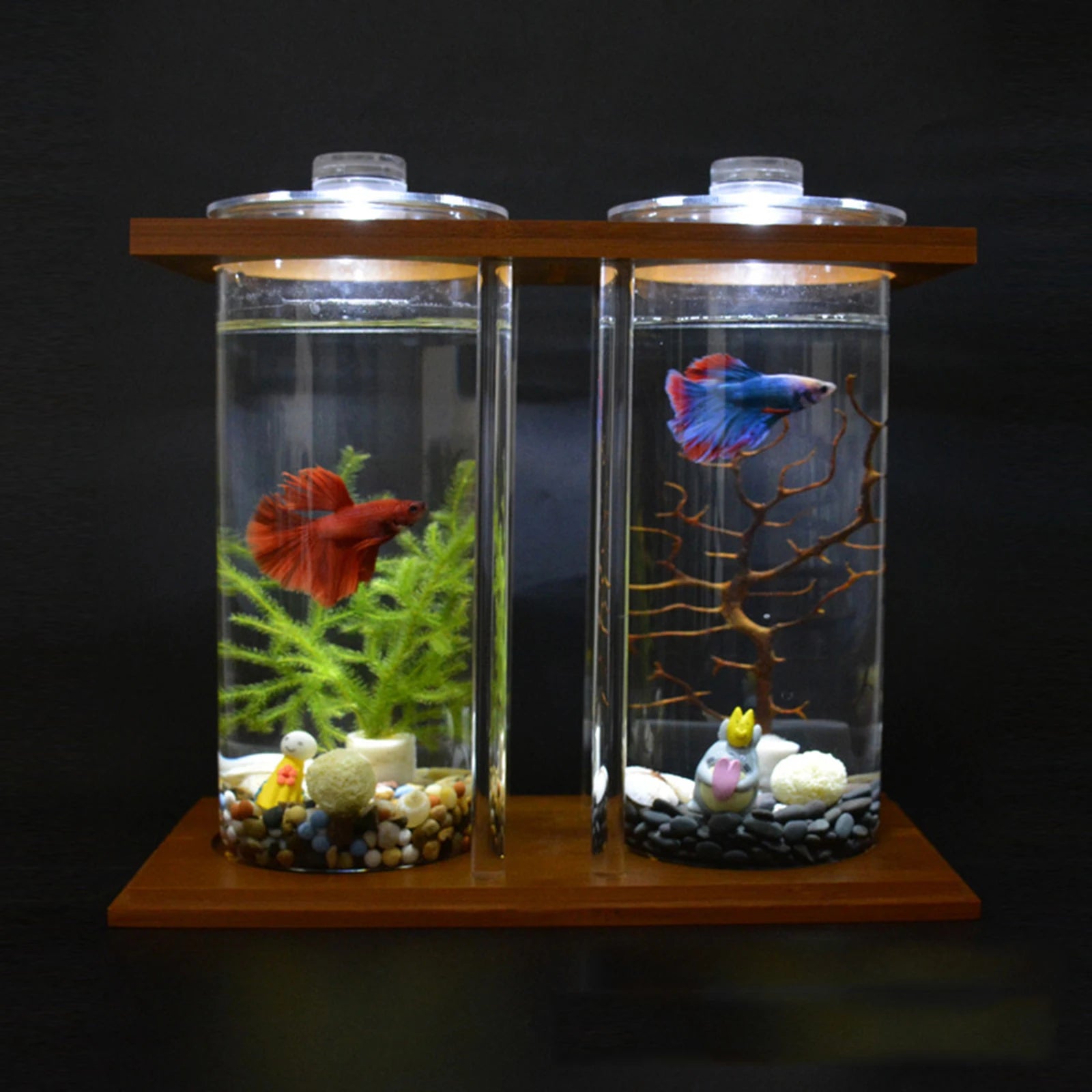 Mini Fish DIY Tank