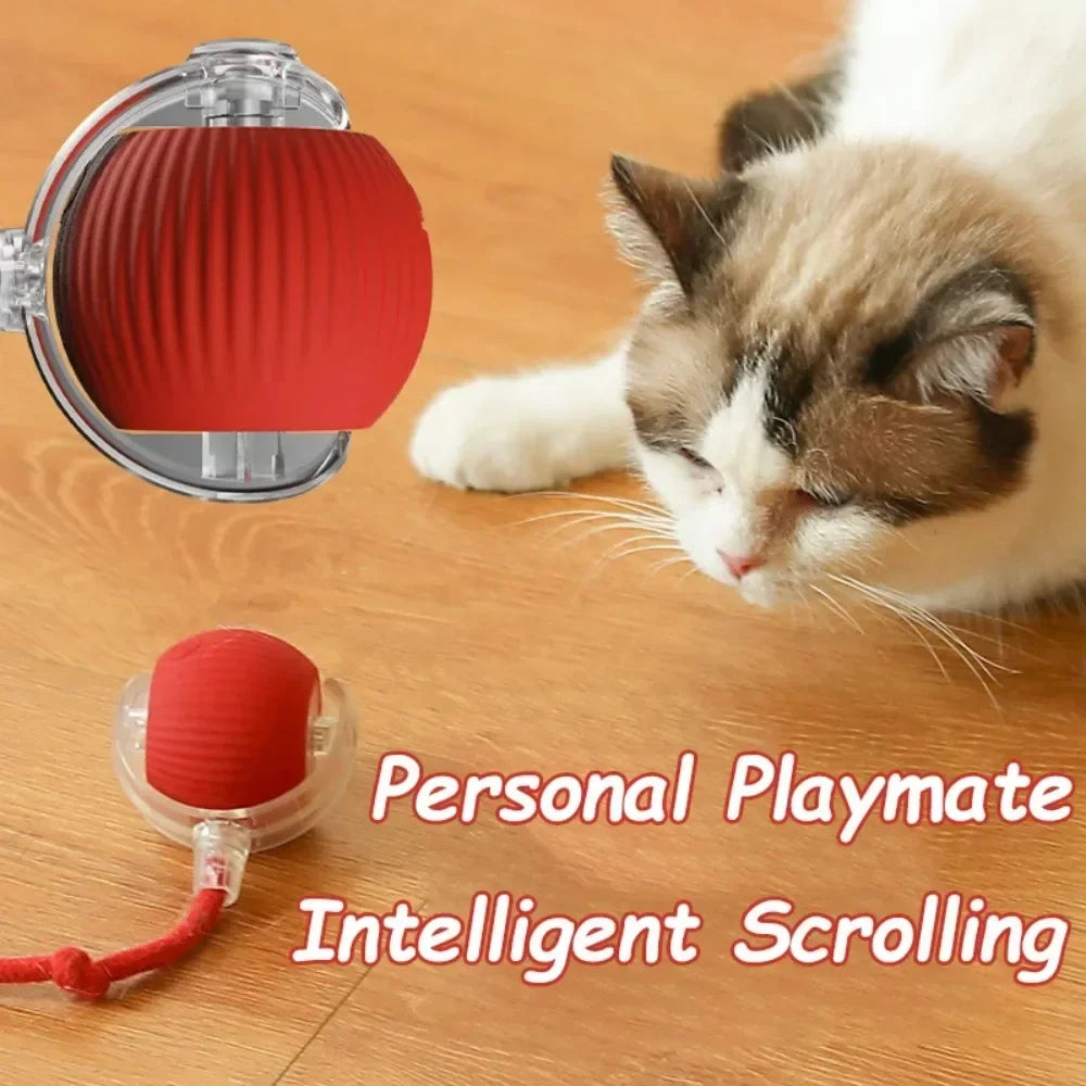 Cat Interactive Ball Toy Automatic Rolling Rechargeable