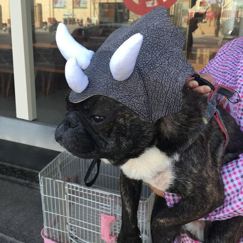 Triceratops Dinosaur Costume Hats For Cats and For Dogs