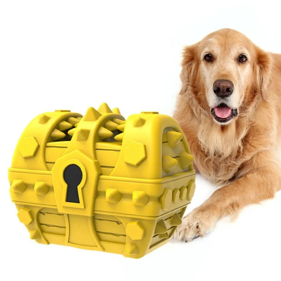 Toothbrush Chew Toys Treasure Chest