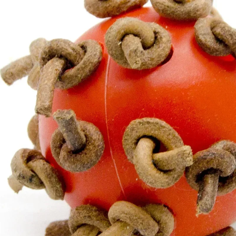 Bird Ball Chew Toy with Knots