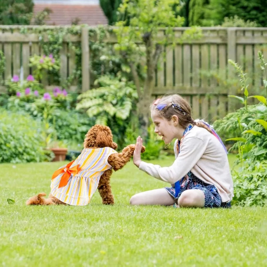 2 Pieces Dog Dress Princess Stripe Pet Dresses for Small Dogs Cute Bowknot Dog Summer Clothes for Dogs Cats Pets Puppy Chihuahu