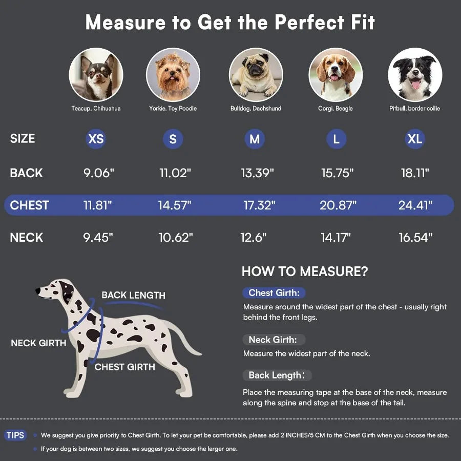 Warm Pullover Dog Sweaters for Small Dogs in Royal Blue Soft Thick Winter Clothing Ideal for Chihuahua Dachshund Yorkie