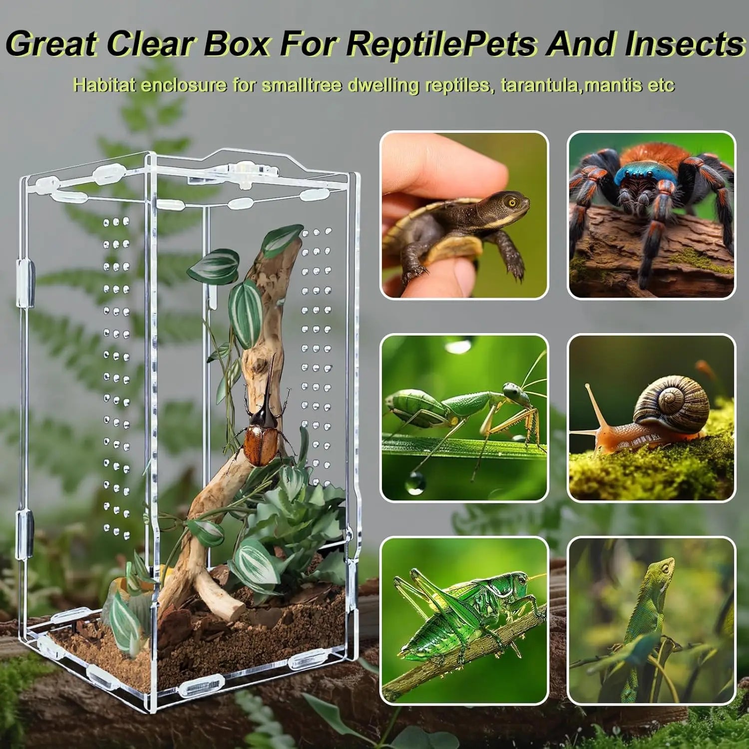 Reptile Terrarium Habitat Breeding Box Reptiles Cage