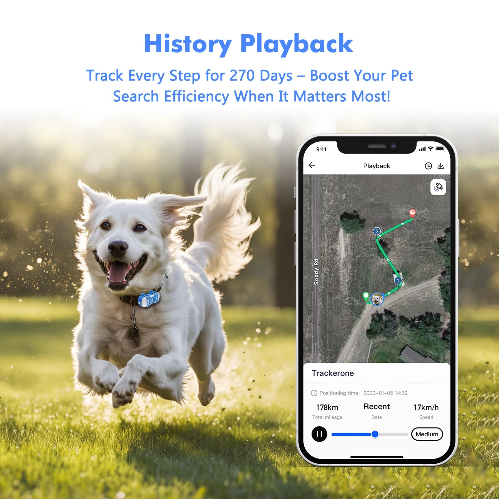 ‌ Dog Cat GPS Tracker