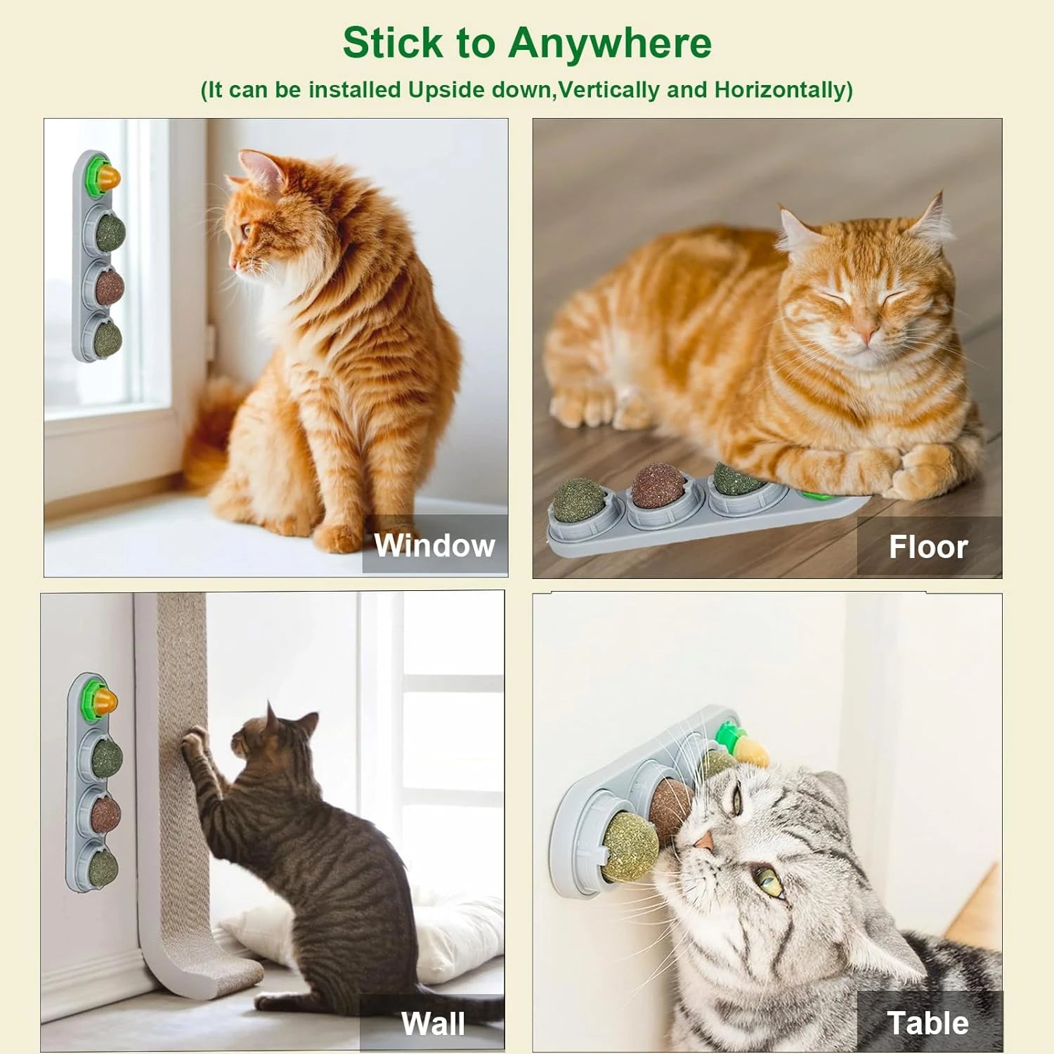 Catnip Wall Ball Toy for Kittens