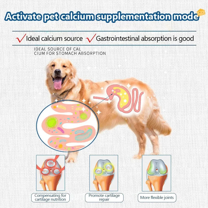 Freeze-dried Food High Calcium Cheese Rich in Nutrients Dog Snacks Aid Digestion Snacks