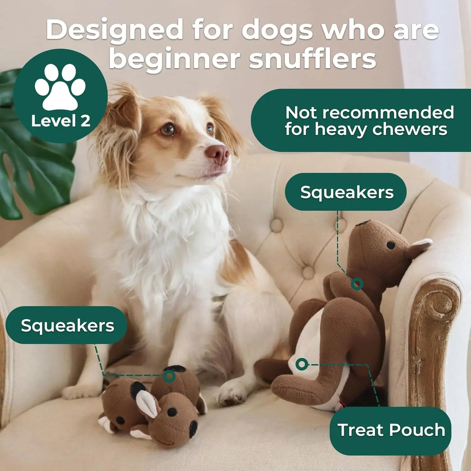 Kangaroo Plush Dog Toy with Squeaker & Treat Pouch