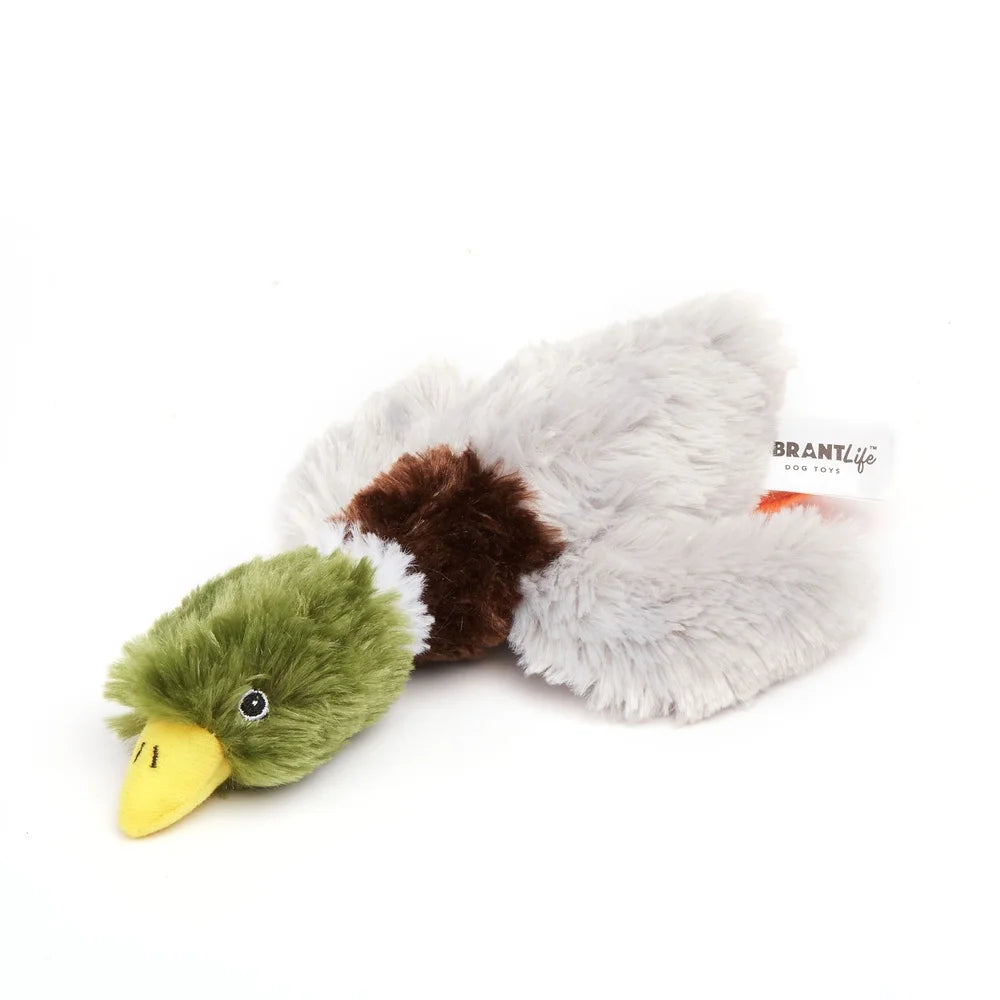 3 Pack Squeaky Mallard Duck Dog Toy