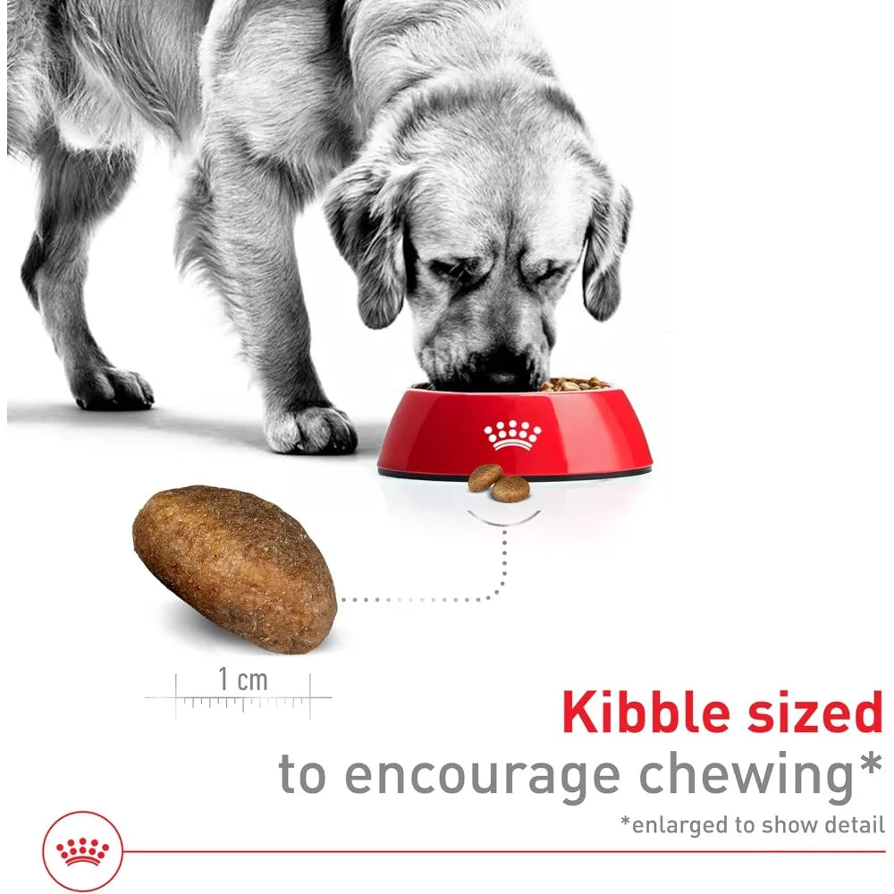 Size Health Nutrition Large Adult Dry Dog Food, 30 lb Bag