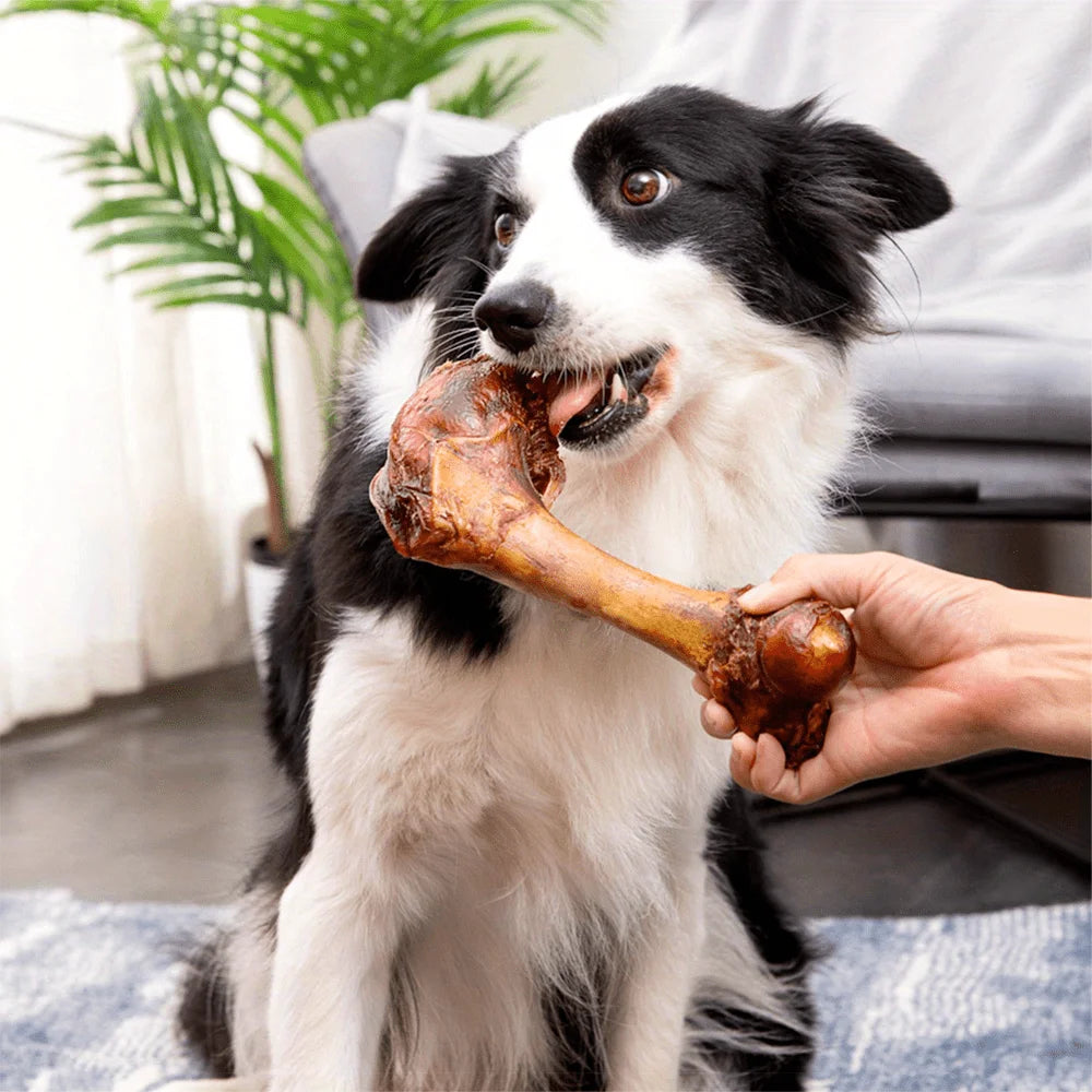 Middle Large Cow Bone, All Natural Dog Treats