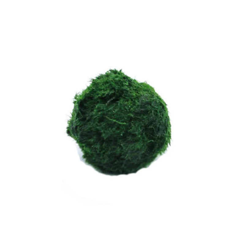 3-4cm Marimo Moss Balls