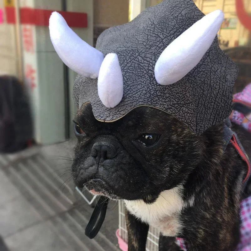Triceratops Dinosaur Costume Hats For Cats and For Dogs