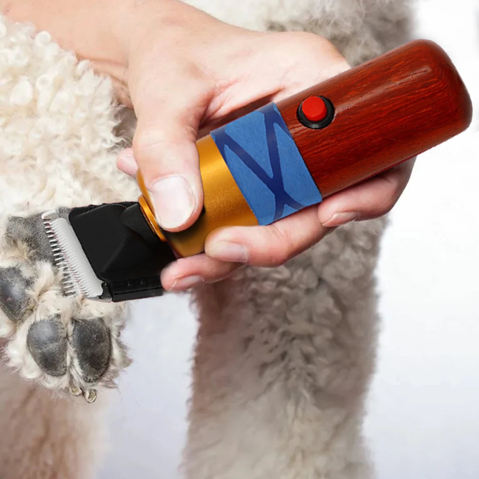 36W Electric Animal Grooming Shearing Clipper