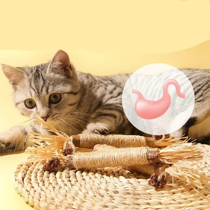 1/2/5/10PCS Pet Toy Natural Matatabi Pet Cat Snacks Stick Cleaning Tooth Catnip