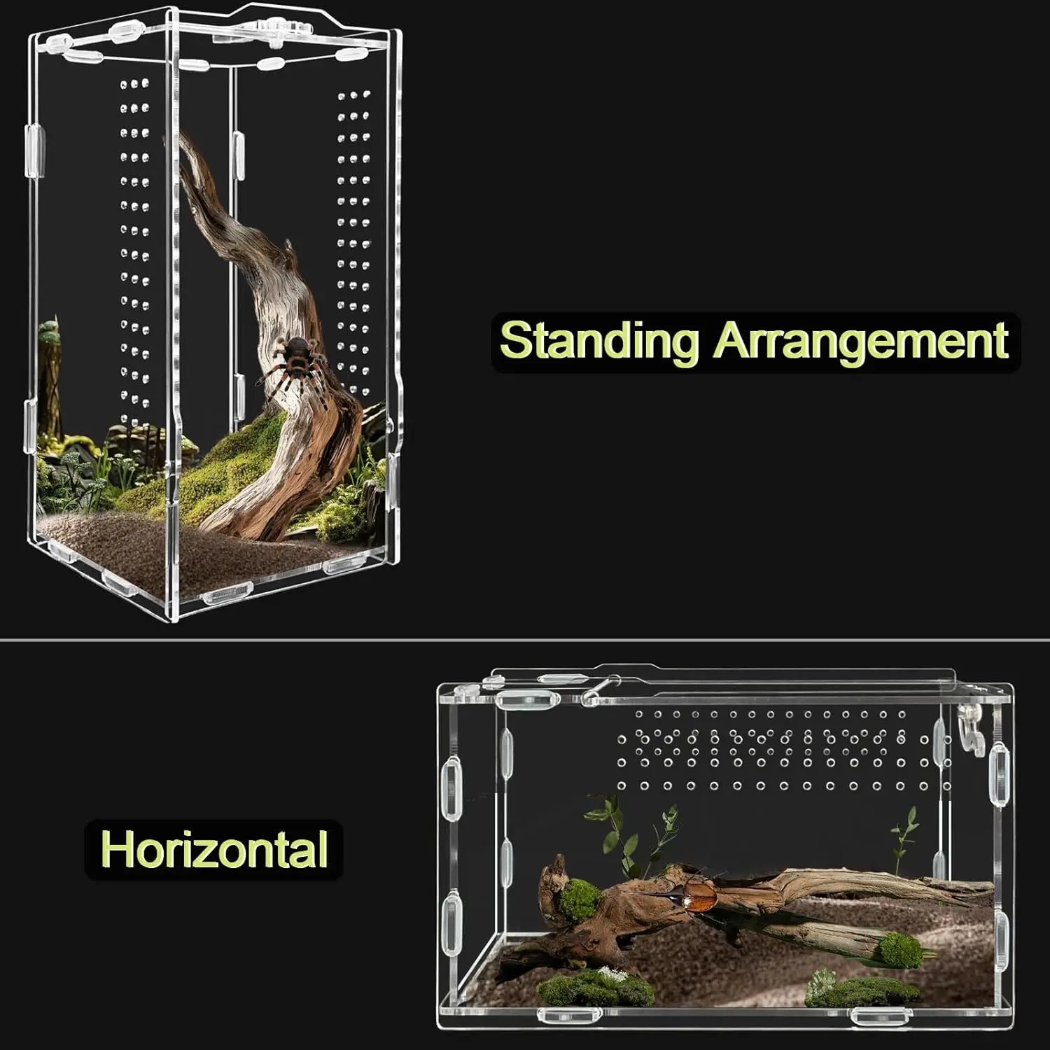 Reptile Terrarium Habitat Breeding Box Reptiles Cage