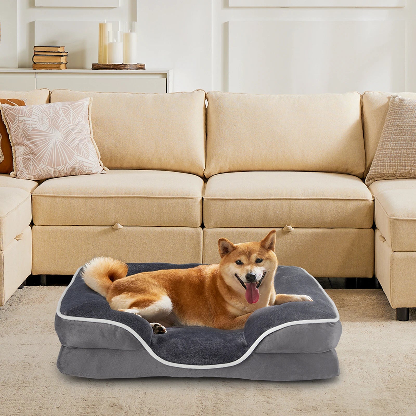 Orthopedic Dog Bed Memory Foam