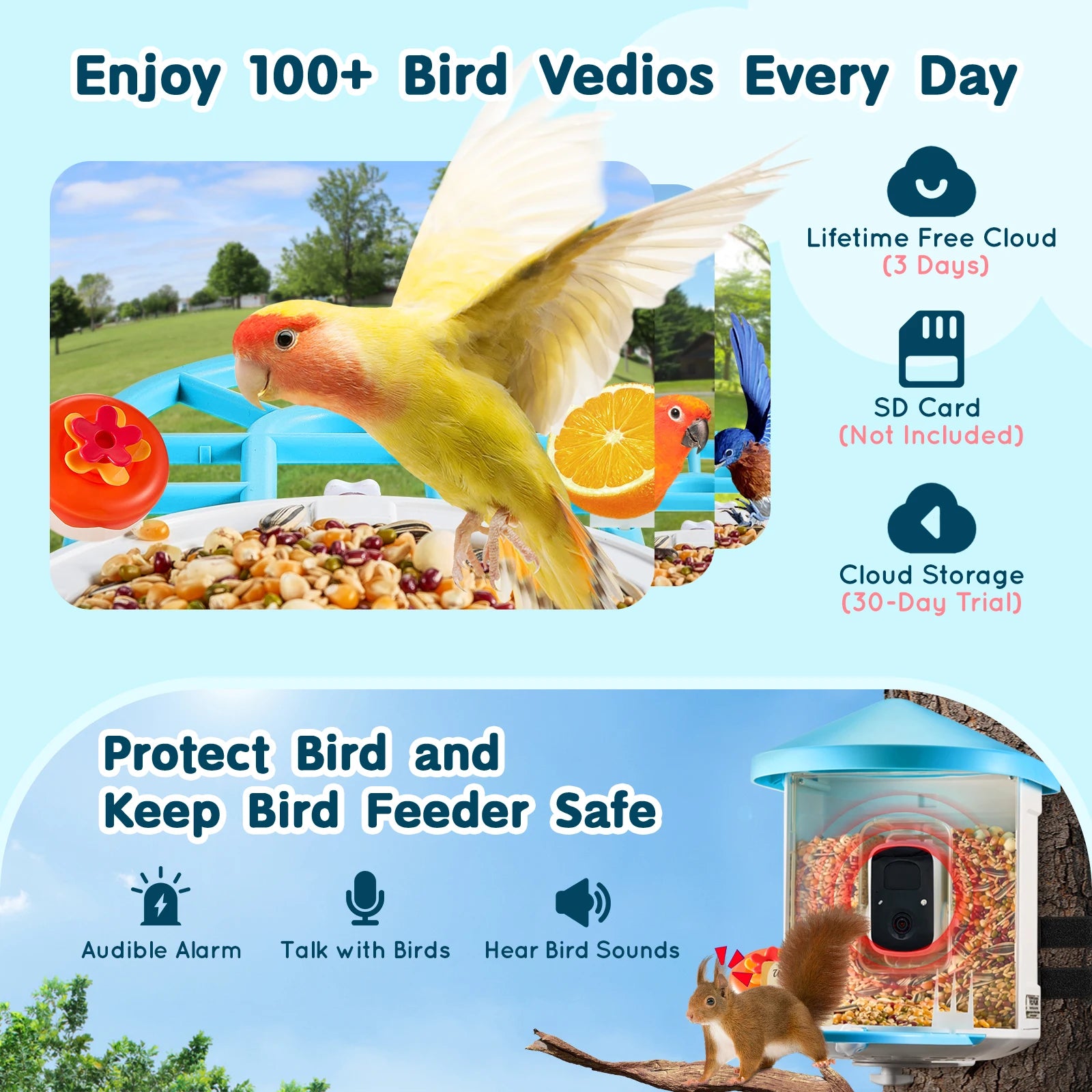 Smart Bird Feeder with Camera 2K HD AI Identify 10000+ Bird Species Solar-Powered Bird Watching Camera with Auto Capture
