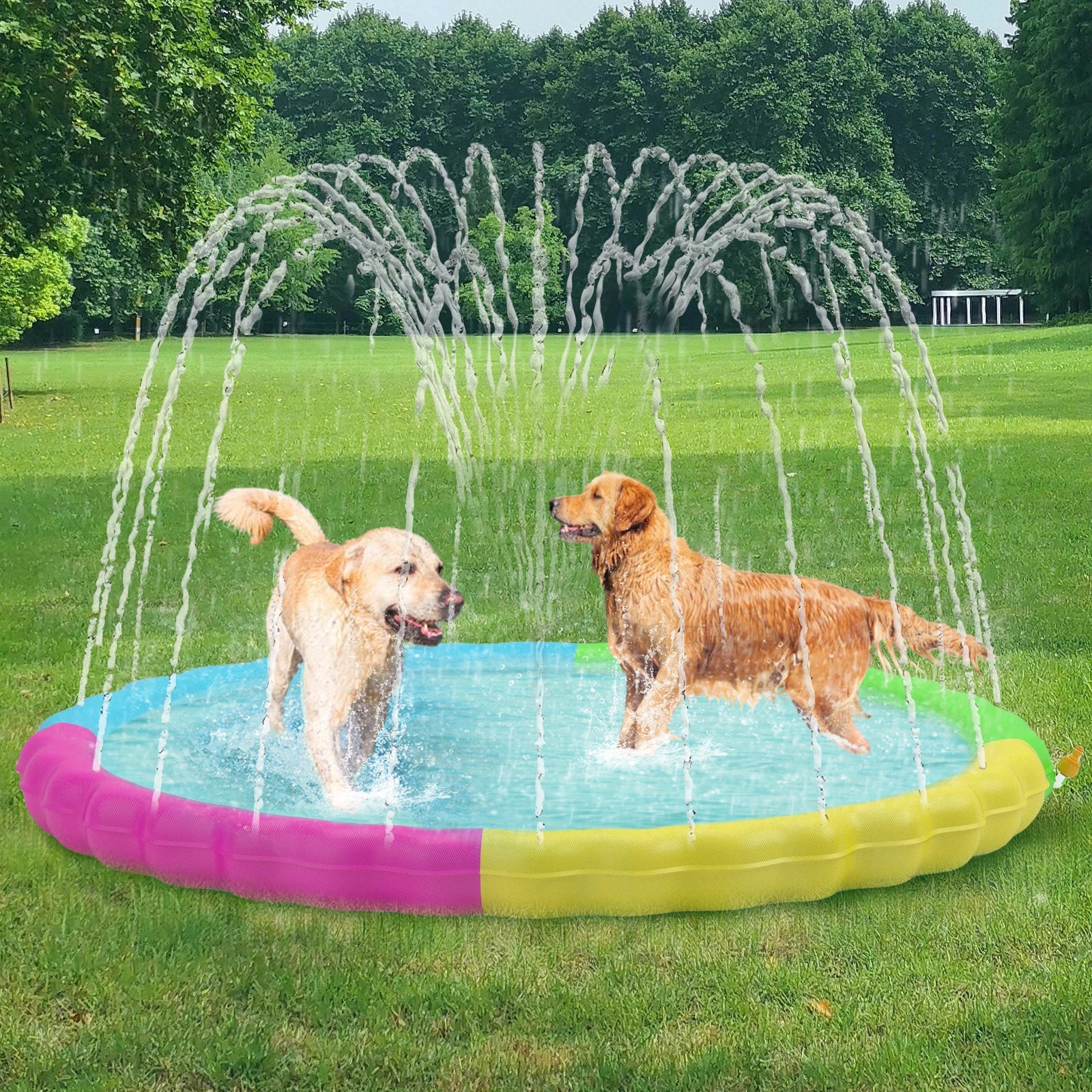 Sprinkler Pool for Dogs Outdoor Play