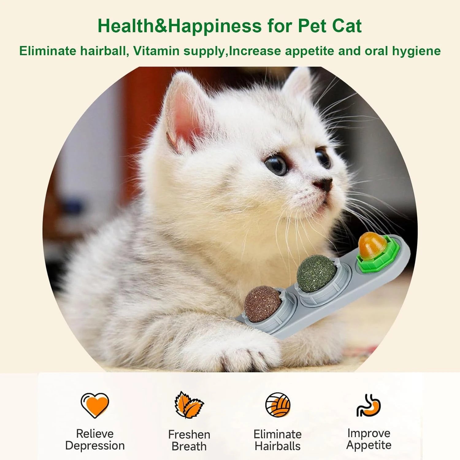 Catnip Wall Ball Toy for Kittens