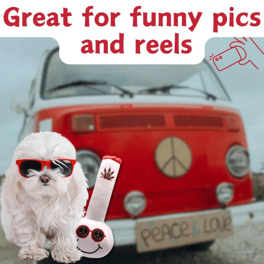 My Name is Billie Funny Squeaky Weed Dog Toy Cute Stuffed Parody Pot Bong Cool Plush 420 Novelty Gift for Pets Their Owners Siz