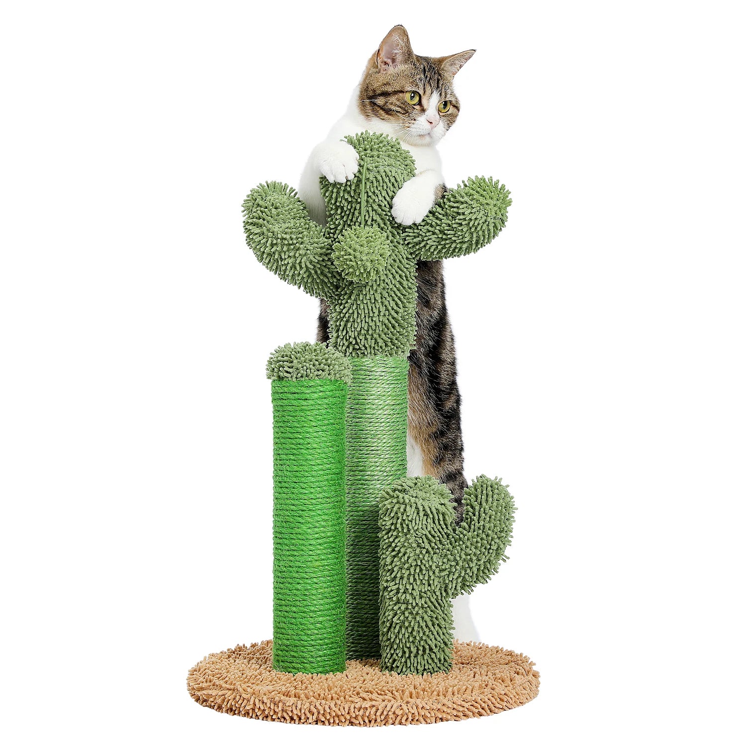 Cactus Cat Scratcher Post