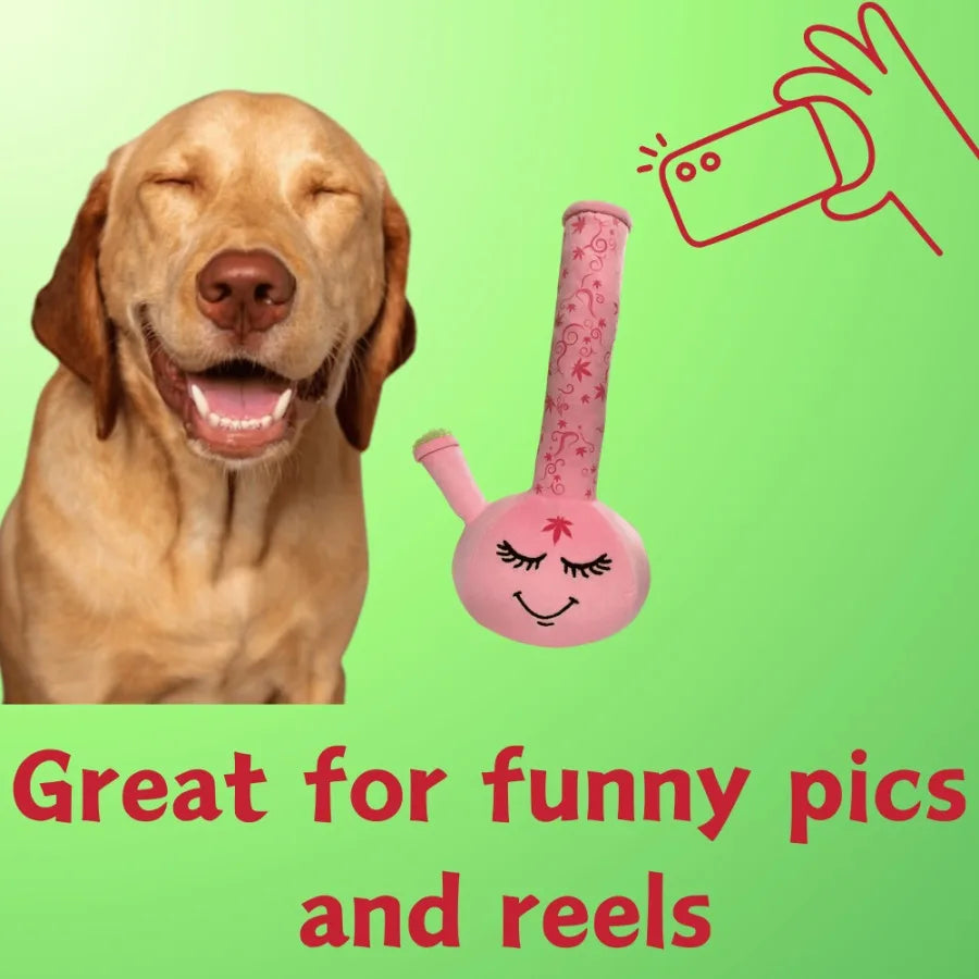 Squeaky Weed Dog Toy  Plush