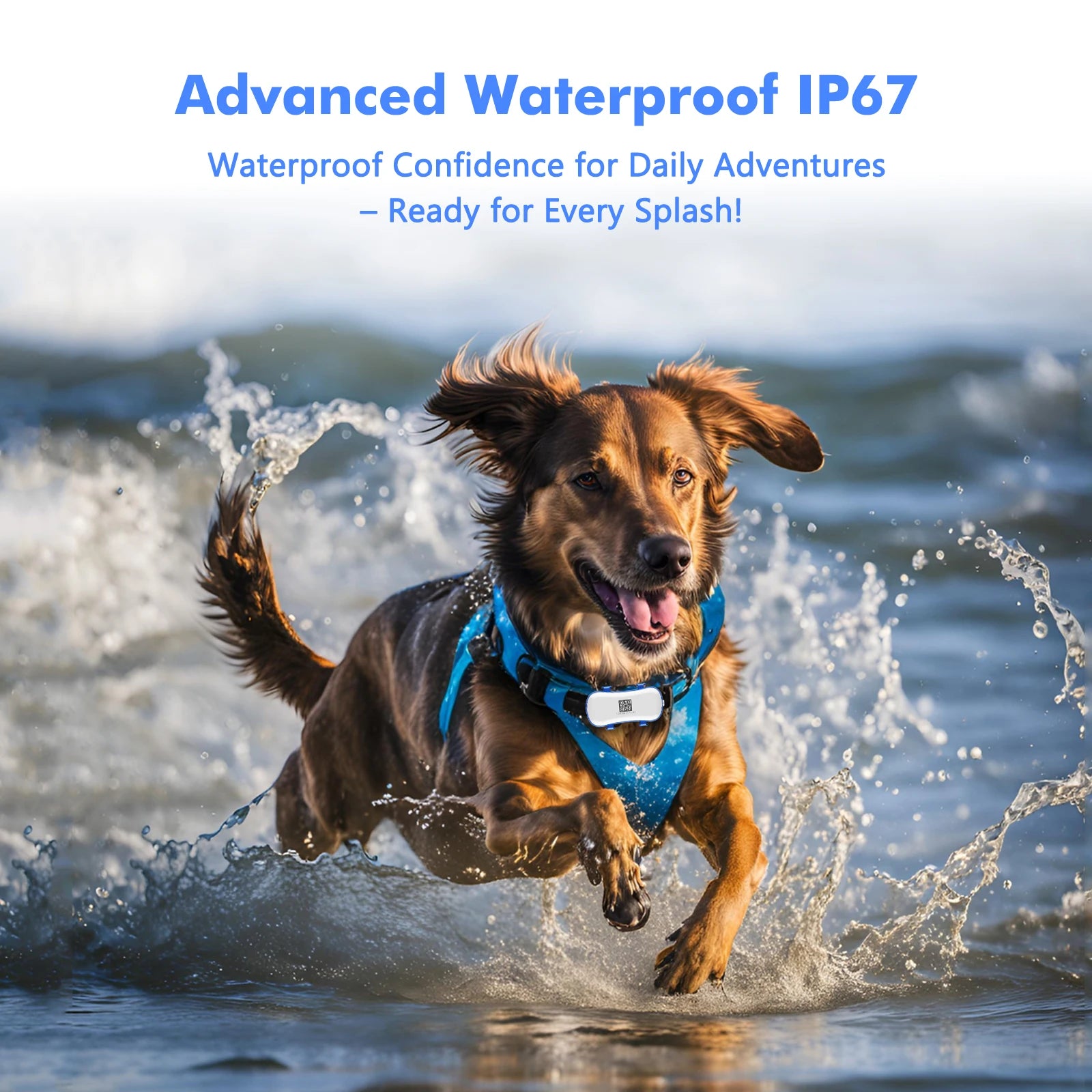 ‌ Dog Cat GPS Tracker