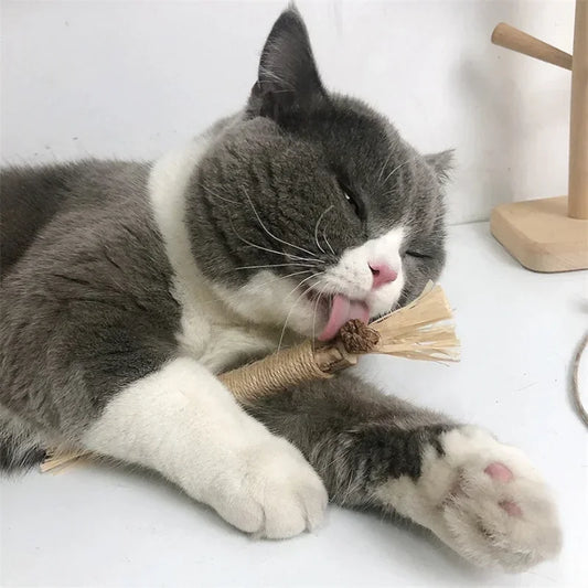 1/2/5/10PCS Pet Toy Natural Matatabi Pet Cat Snacks Stick Cleaning Tooth Catnip