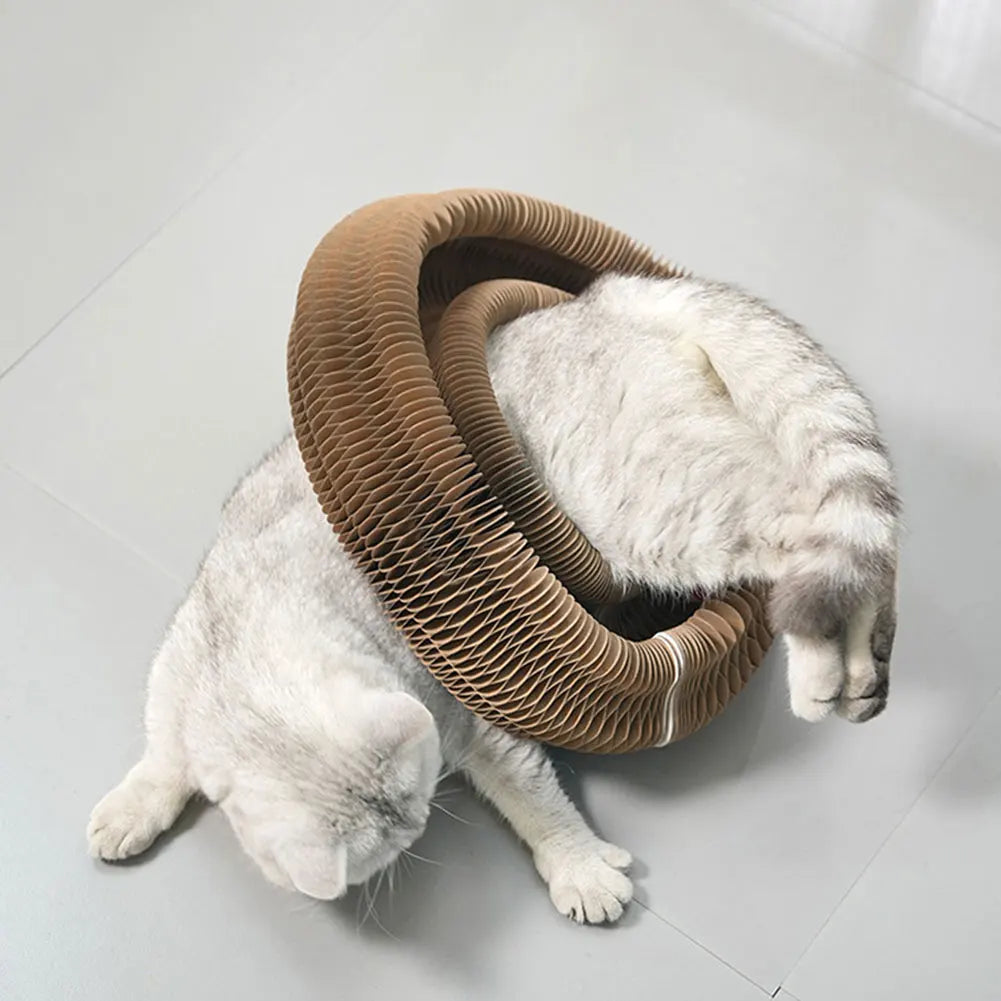 Cat Scratching Board