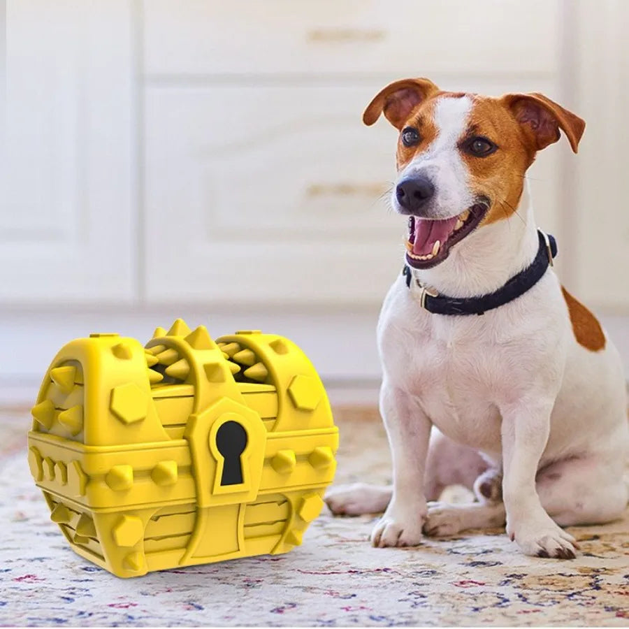 Toothbrush Chew Toys Treasure Chest