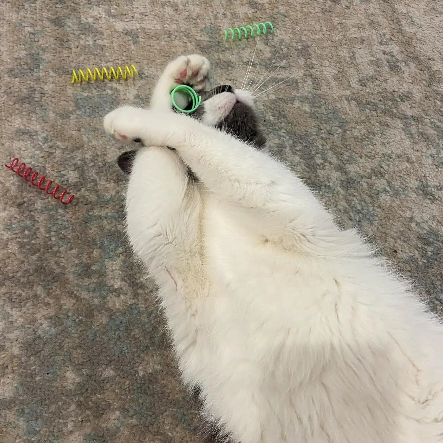 Thin colored spring cat toy - Bouncing coil suitable for medium indoor cat breeds