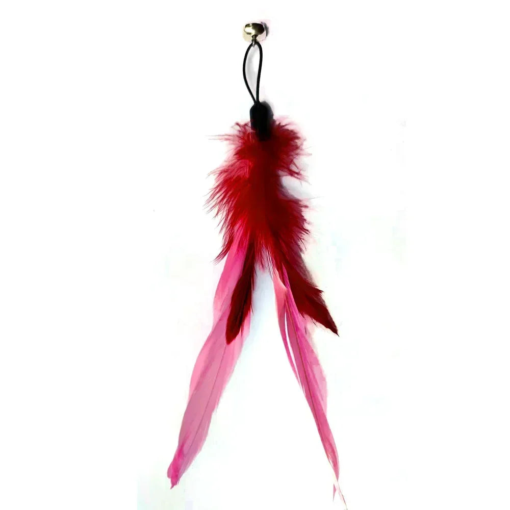Cat Toy with Bell Color Feather Toy Fishing Rod