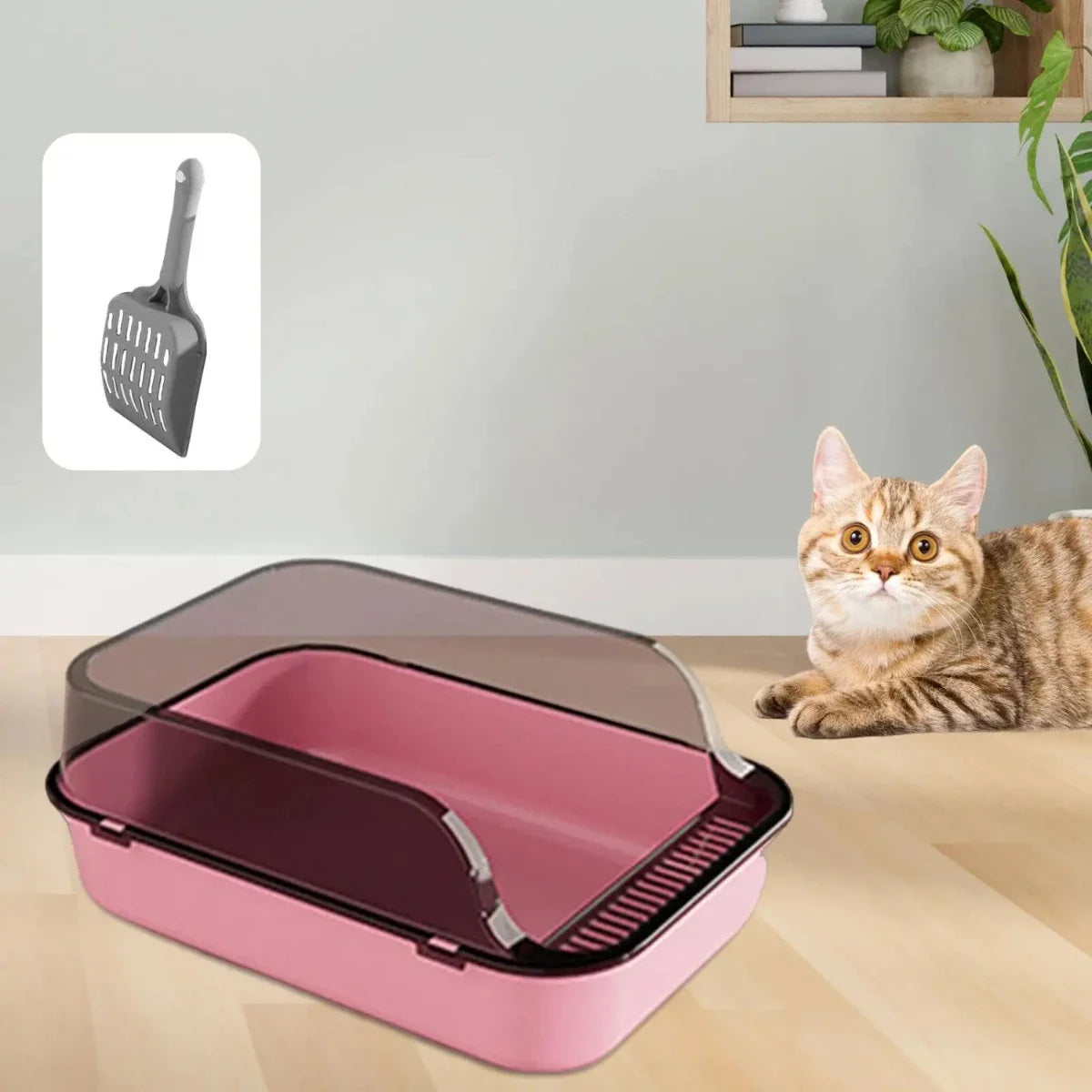 Open Top Cat Litter Box