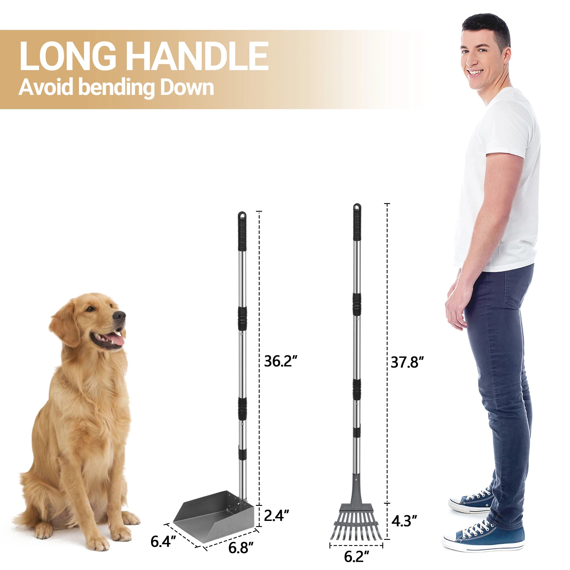 Dog Poop Tray and Rake Set