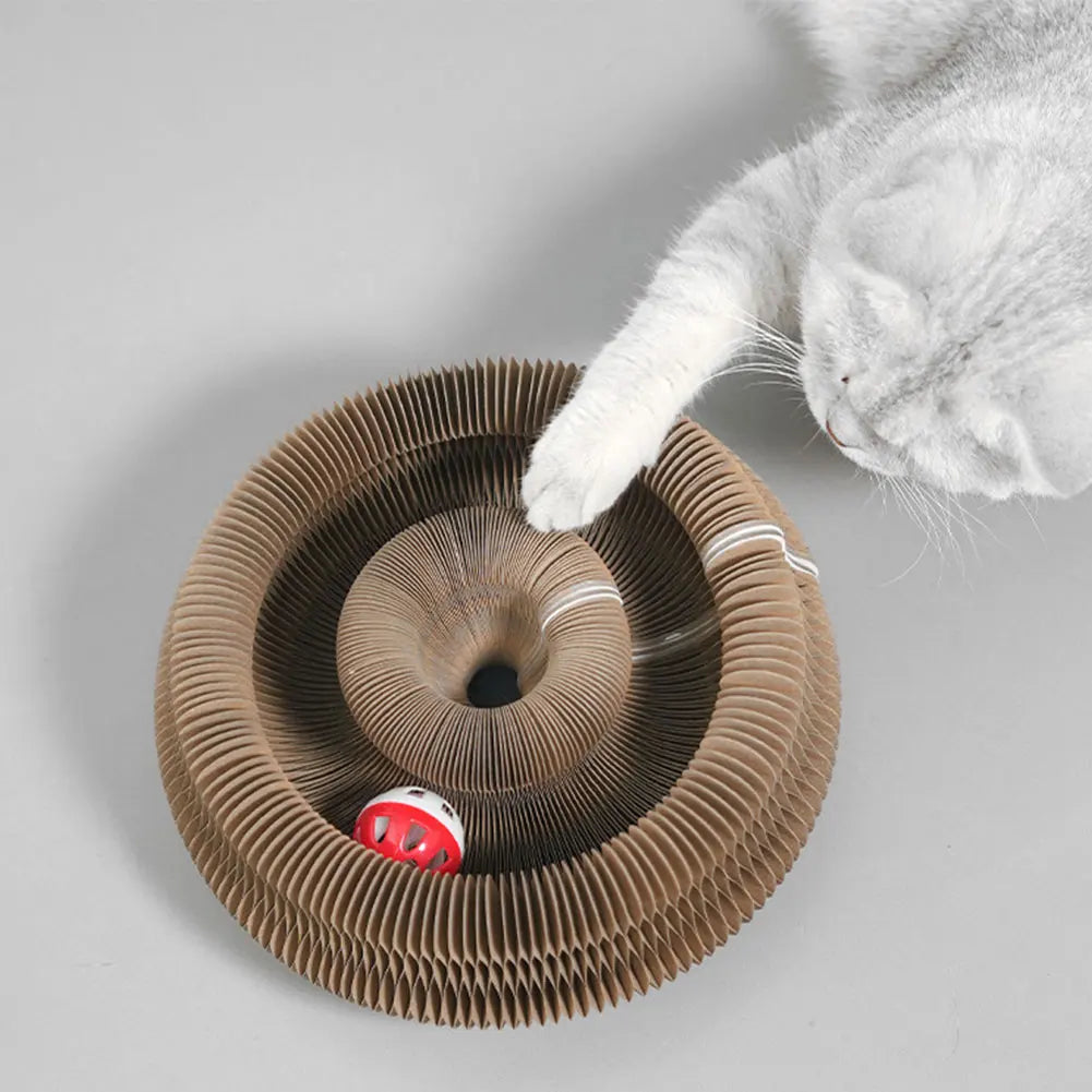 Cat Scratching Board