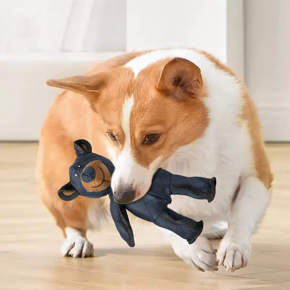 Robust Bear Toy Plush Grinding Cleaning Teeth Anti Bite