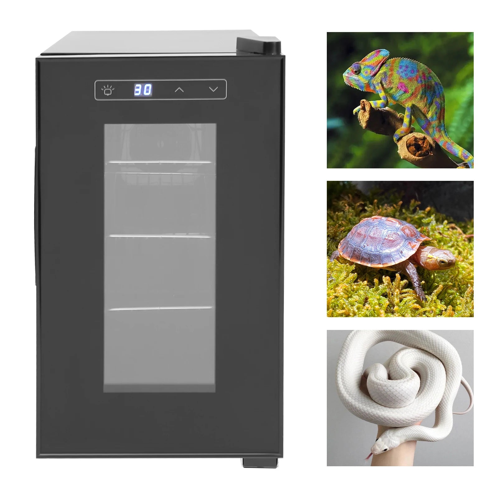 Professional Reptile Egg Incubator w/Precise 50-104°F Digital Thermostat,  Auto Heating/Cooling for Snakes/Lizards/Turtles