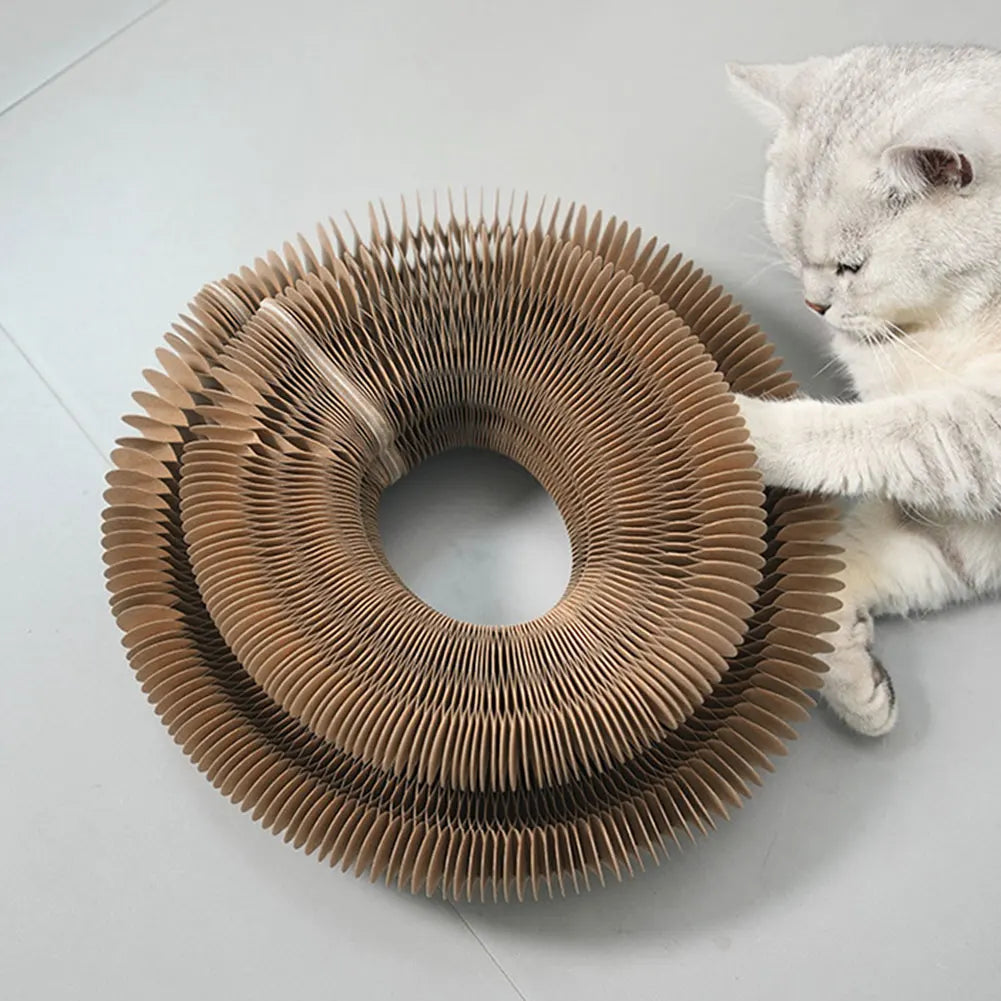 Cat Scratching Board